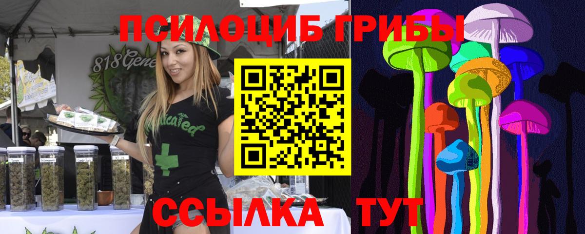 Мурино  Галлюциногенные грибы Psilocybe  Вход с VPN 